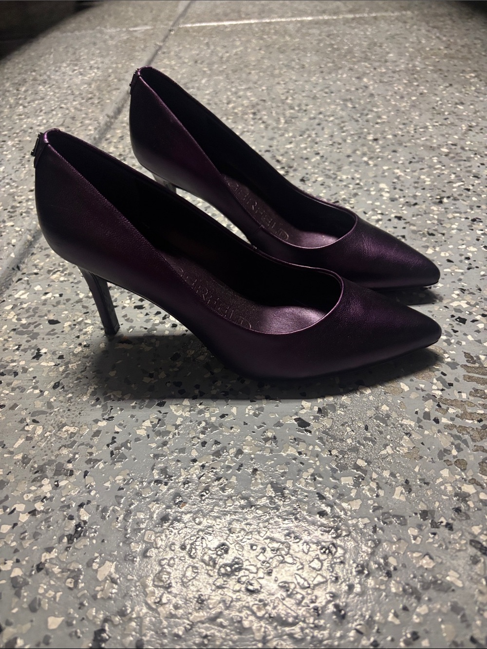 Philosophy Pointed Toe Stiletto Pumps in Plum